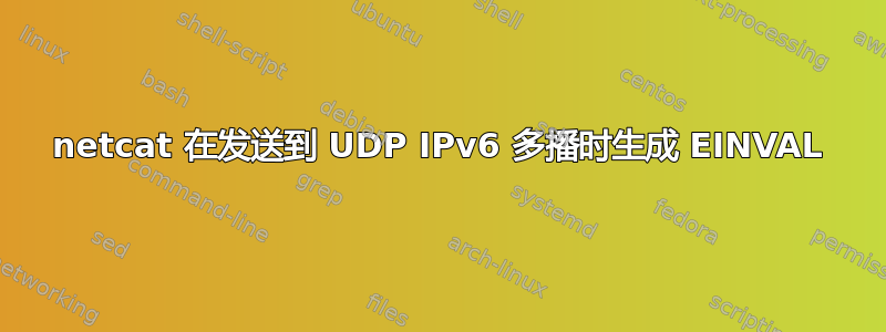 netcat 在发送到 UDP IPv6 多播时生成 EINVAL