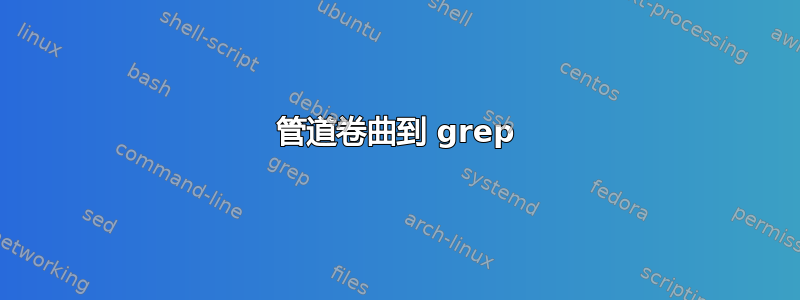 管道卷曲到 grep