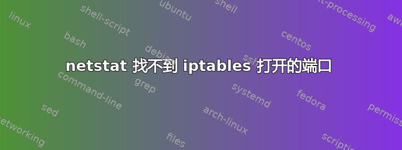 netstat 找不到 iptables 打开的端口