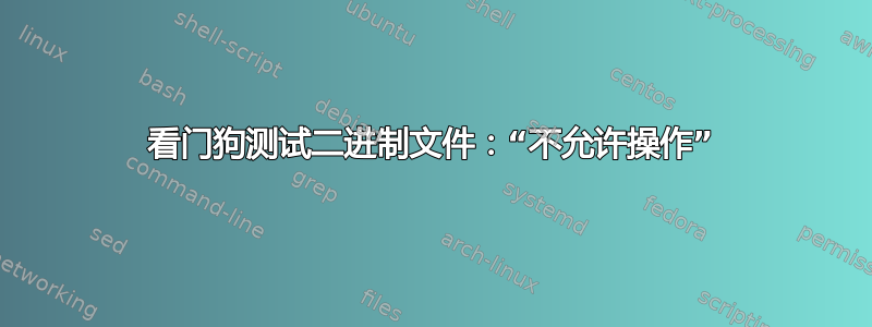 看门狗测试二进制文件：“不允许操作”