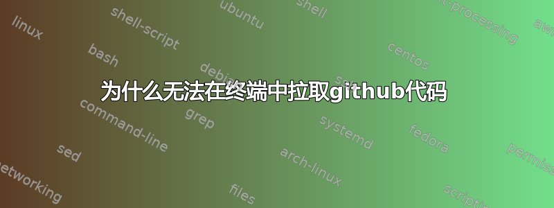 为什么无法在终端中拉取github代码