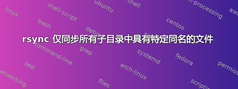 rsync 仅同步所有子目录中具有特定同名的文件