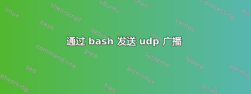 通过 bash 发送 udp 广播