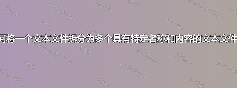 如何将一个文本文件拆分为多个具有特定名称和内容的文本文件？