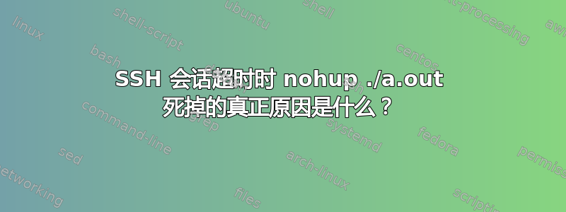 SSH 会话超时时 nohup ./a.out 死掉的真正原因是什么？