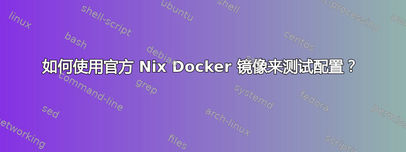 如何使用官方 Nix Docker 镜像来测试配置？