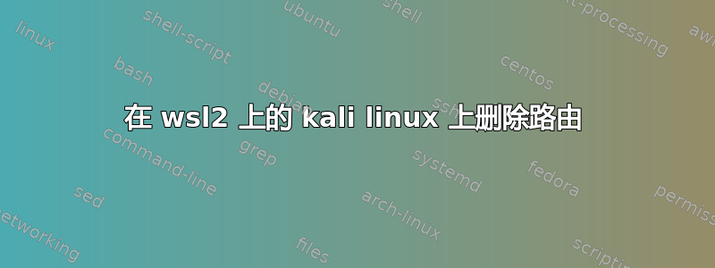 在 wsl2 上的 kali linux 上删除路由