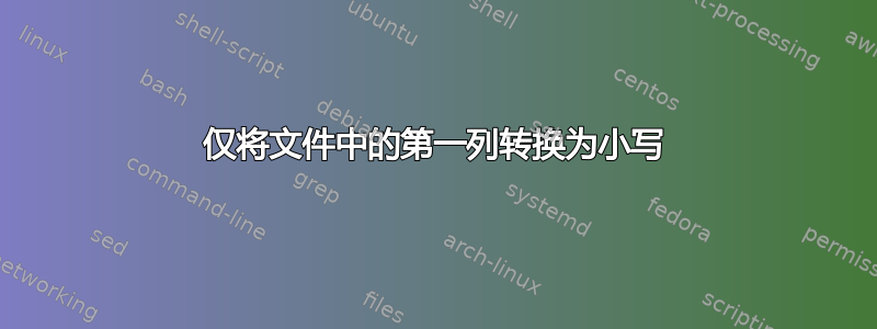 仅将文件中的第一列转换为小写