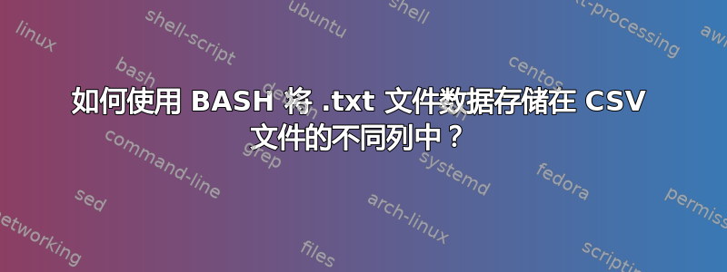 如何使用 BASH 将 .txt 文件数据存储在 CSV 文件的不同列中？