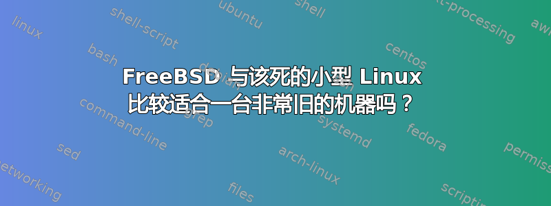 FreeBSD 与该死的小型 Linux 比较适合一台非常旧的机器吗？