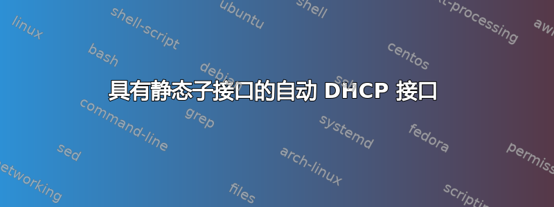 具有静态子接口的自动 DHCP 接口