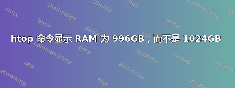 htop 命令显示 RAM 为 996GB，而不是 1024GB