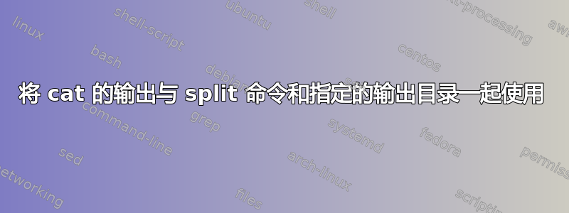 将 cat 的输出与 split 命令和指定的输出目录一起使用