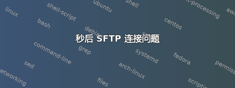 10 秒后 SFTP 连接问题