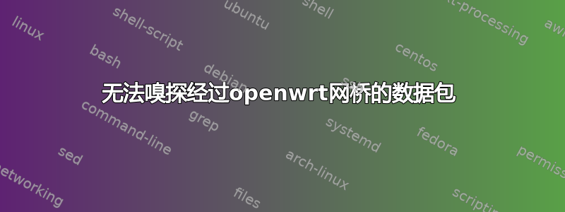 无法嗅探经过openwrt网桥的数据包