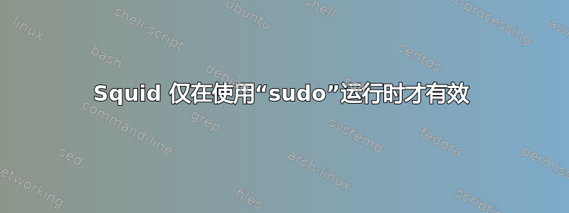 Squid 仅在使用“sudo”运行时才有效