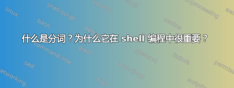 什么是分词？为什么它在 shell 编程中很重要？