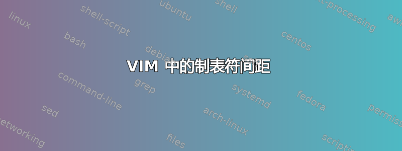 VIM 中的制表符间距