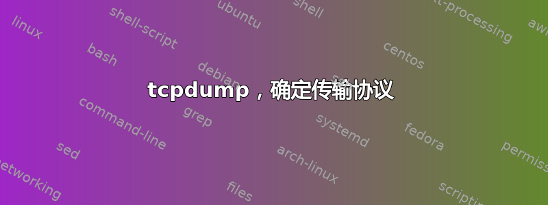 tcpdump，确定传输协议