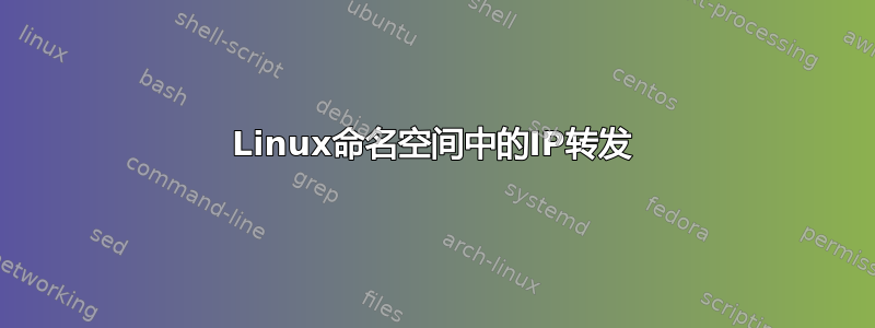 Linux命名空间中的IP转发