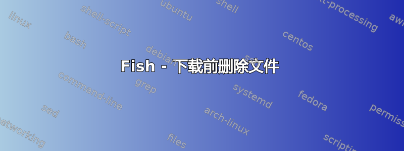 Fish - 下载前删除文件