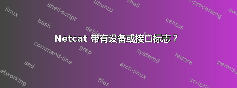 Netcat 带有设备或接口标志？