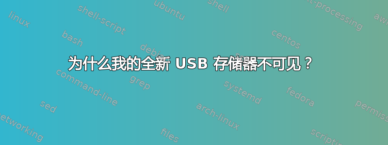 为什么我的全新 USB 存储器不可见？