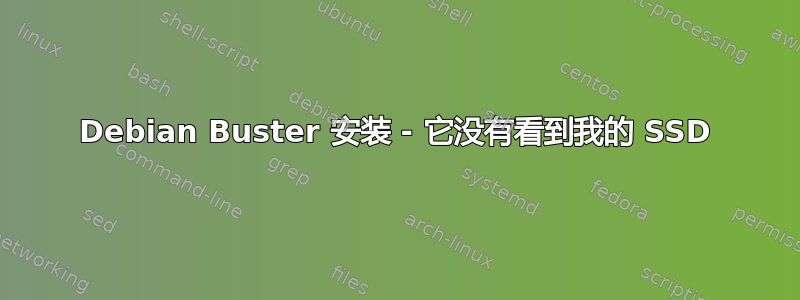 Debian Buster 安装 - 它没有看到我的 SSD