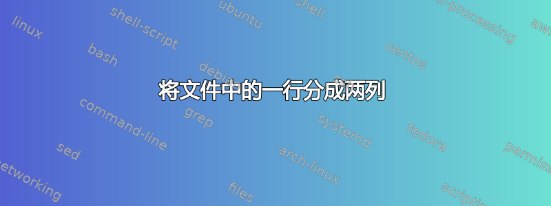 将文件中的一行分成两列