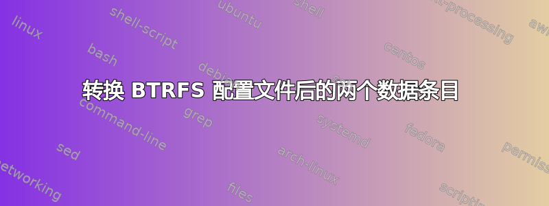 转换 BTRFS 配置文件后的两个数据条目