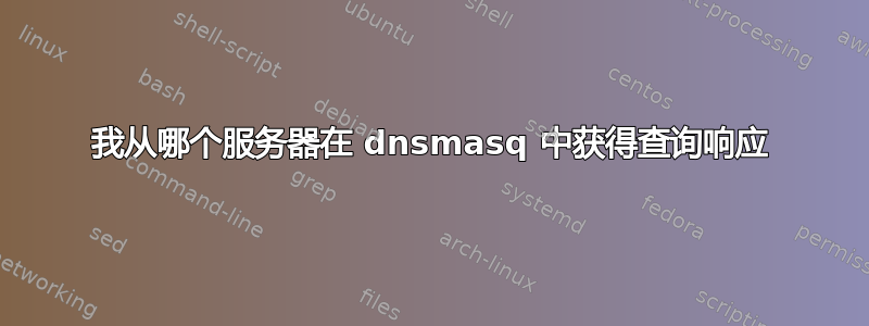 我从哪个服务器在 dnsmasq 中获得查询响应