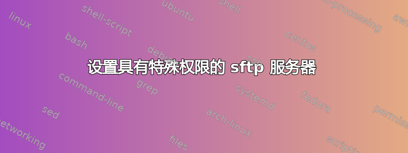 设置具有特殊权限的 sftp 服务器