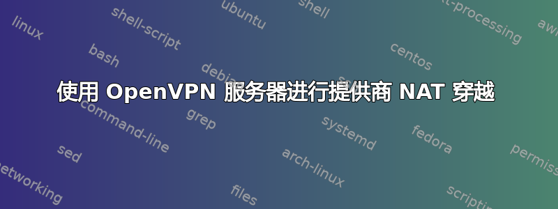 使用 OpenVPN 服务器进行提供商 NAT 穿越