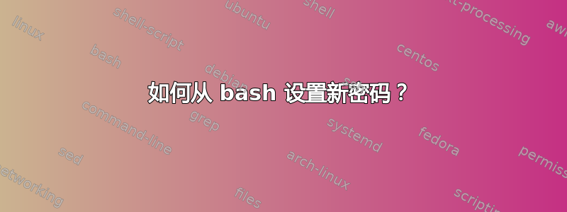 如何从 bash 设置新密码？