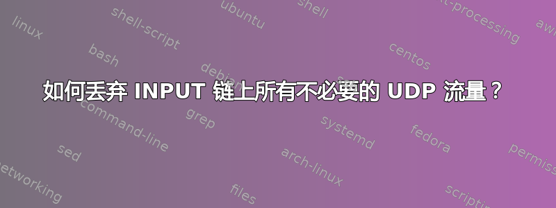 如何丢弃 INPUT 链上所有不必要的 UDP 流量？