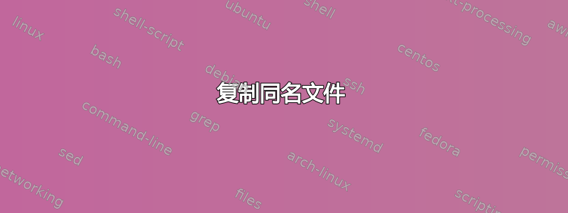 复制同名文件