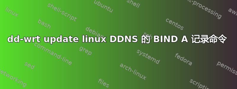 dd-wrt ​​update linux DDNS 的 BIND A 记录命令