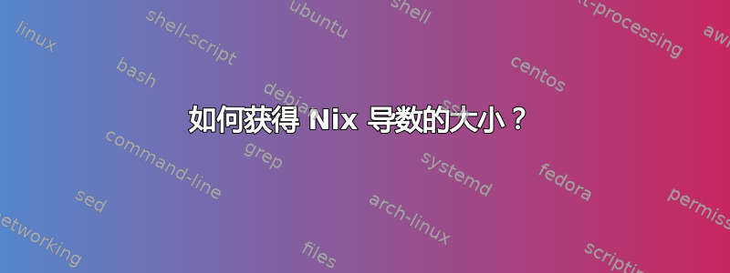 如何获得 Nix 导数的大小？