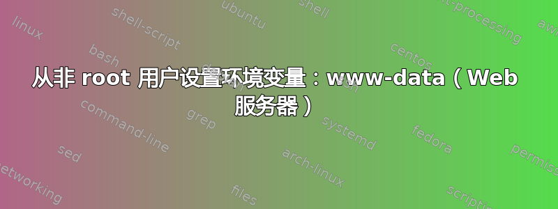 从非 root 用户设置环境变量：www-data（Web 服务器）