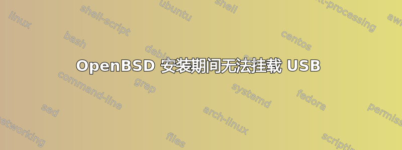 OpenBSD 安装期间无法挂载 USB