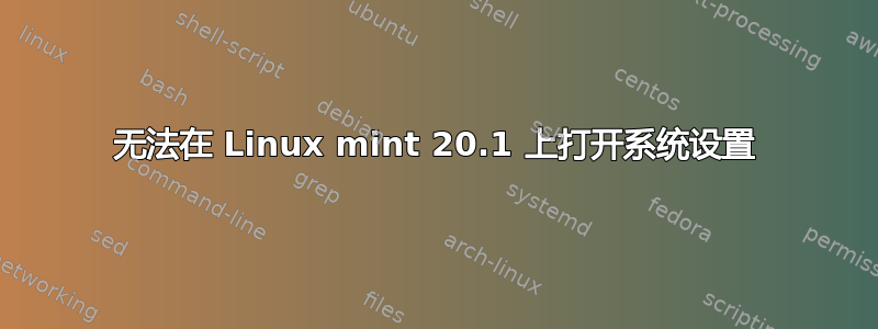 无法在 Linux mint 20.1 上打开系统设置