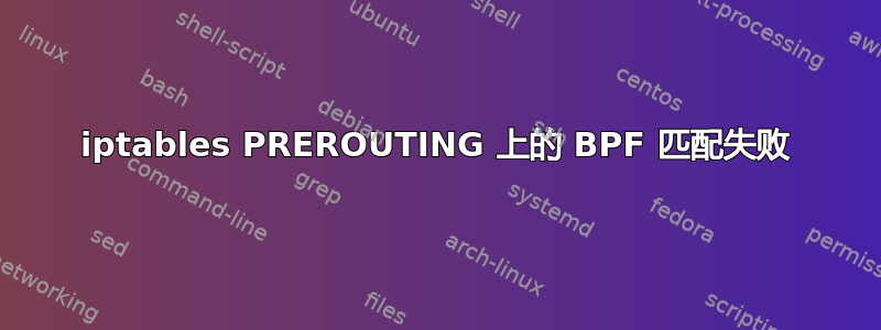 iptables PREROUTING 上的 BPF 匹配失败