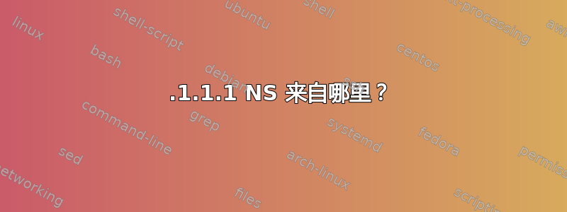 1.1.1.1 NS 来自哪里？