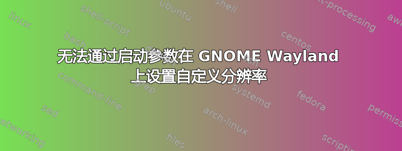 无法通过启动参数在 GNOME Wayland 上设置自定义分辨率