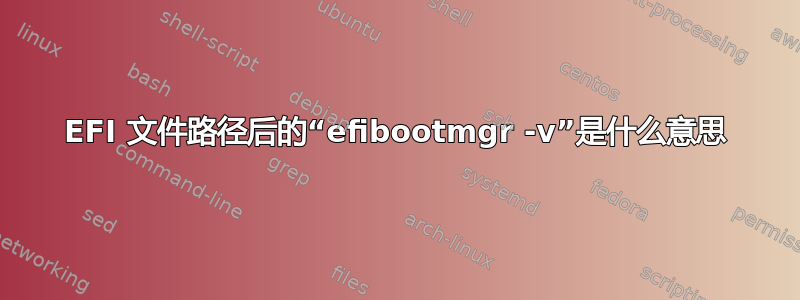 EFI 文件路径后的“efibootmgr -v”是什么意思