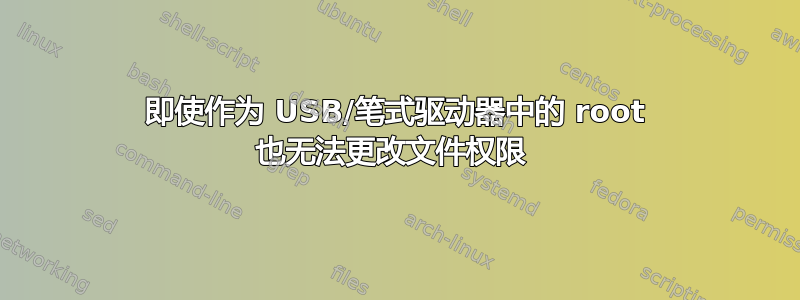 即使作为 USB/笔式驱动器中的 root 也无法更改文件权限 