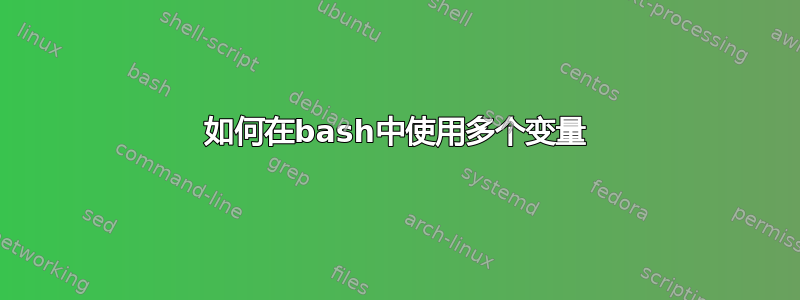 如何在bash中使用多个变量