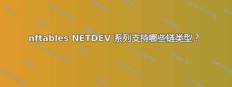 nftables NETDEV 系列支持哪些链类型？