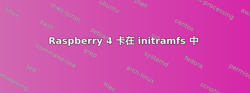 Raspberry 4 卡在 initramfs 中