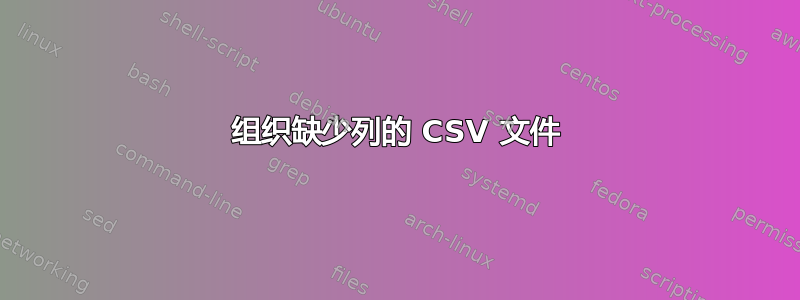 组织缺少列的 CSV 文件